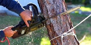 Best Soil Testing and Treatment  in San Antonio, TX